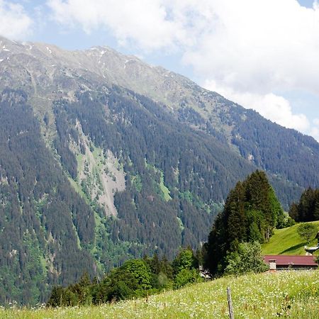 שרונס Alpenapart Montafon - Bitschweil Huesle מראה חיצוני תמונה